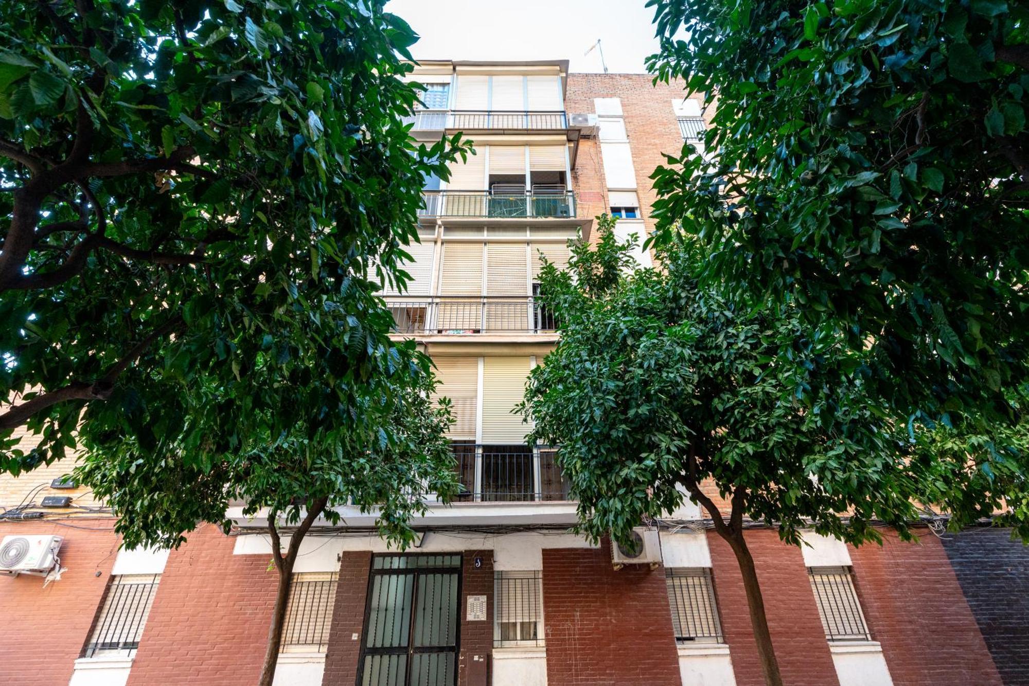 Piso Elegante Y Nuevo De 3 Habitaciones Y 2 Banos Σεβίλλη Εξωτερικό φωτογραφία