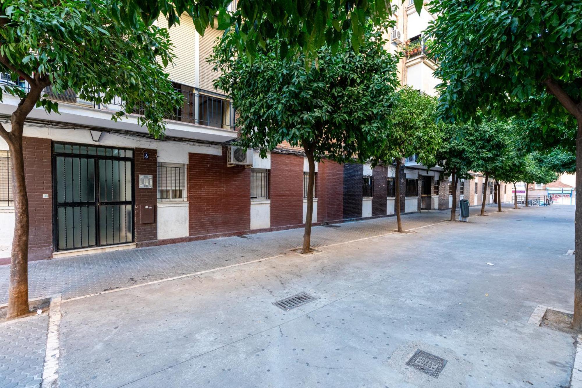 Piso Elegante Y Nuevo De 3 Habitaciones Y 2 Banos Σεβίλλη Εξωτερικό φωτογραφία